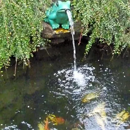 Ika
