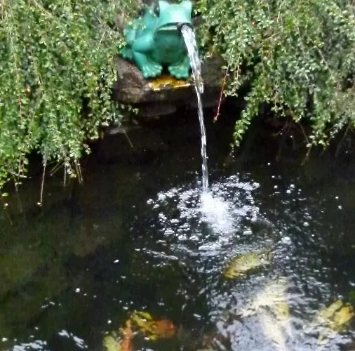 Oda ve Kahvaltı Ika